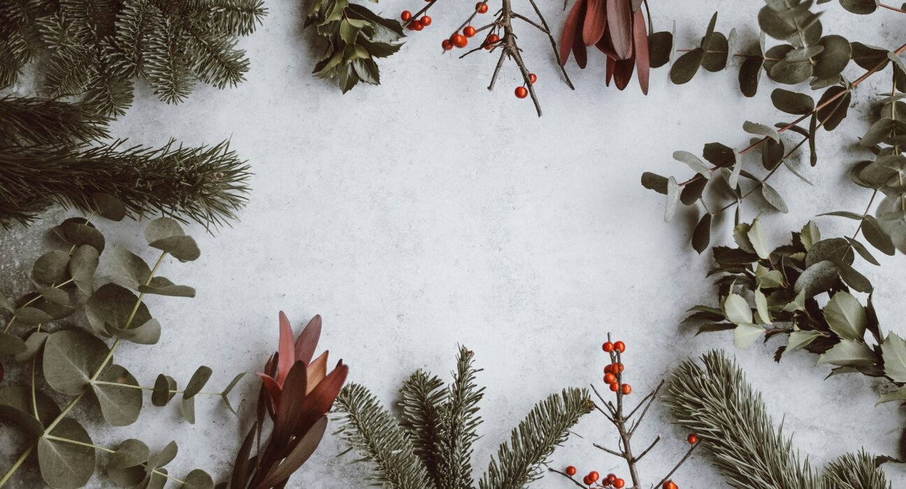 annie-spratt-VDXtVYJVj7A-unsplash