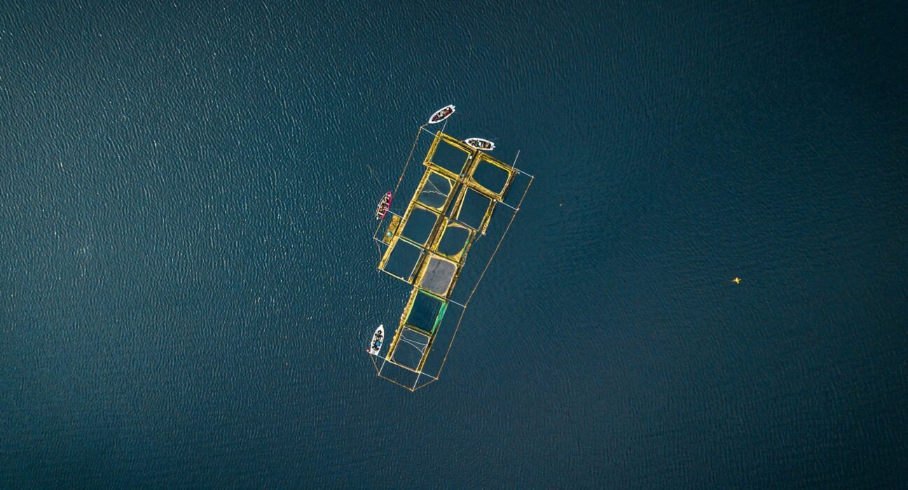 matthew-feeney-JRRfBvYK4og-unsplash