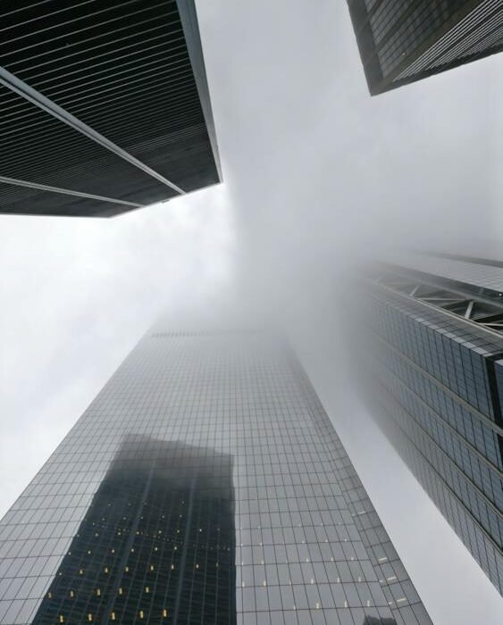 pexels-photo-1272541