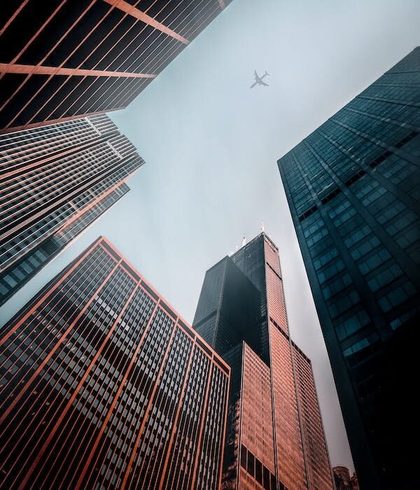 pexels-photo-2361999