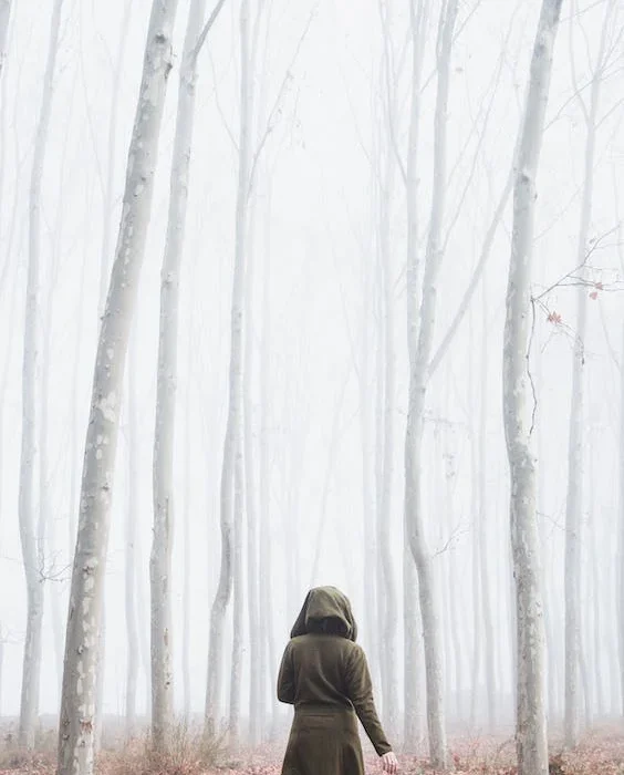 pexels-photo-3354135