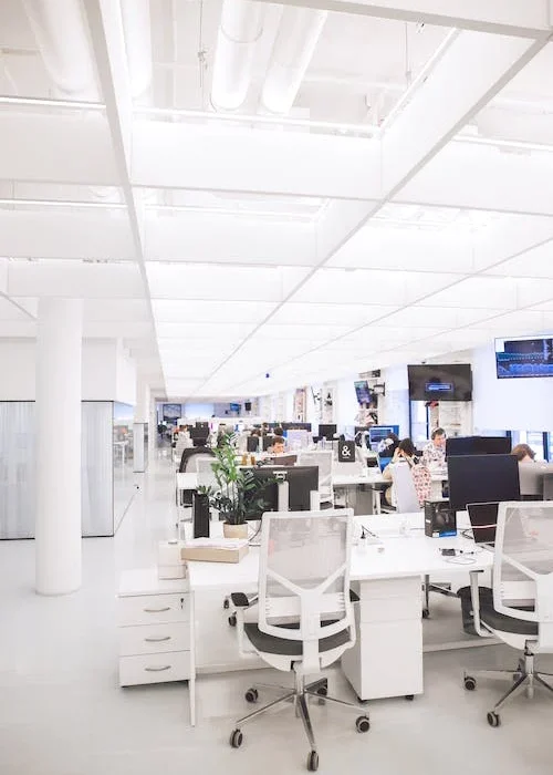 pexels-photo-3778619