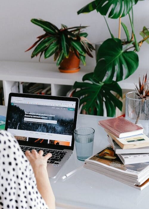 pexels-photo-3987020