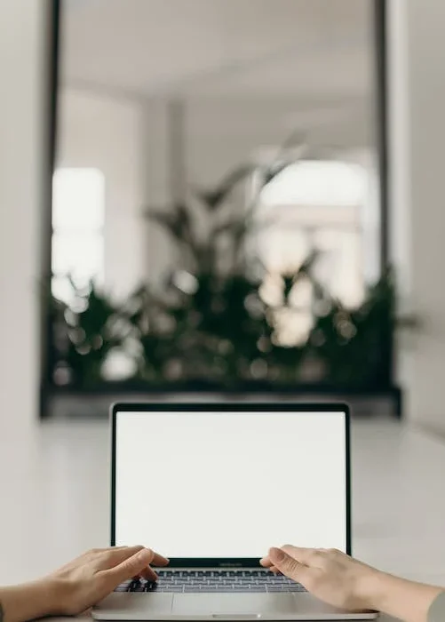 pexels-photo-4065617