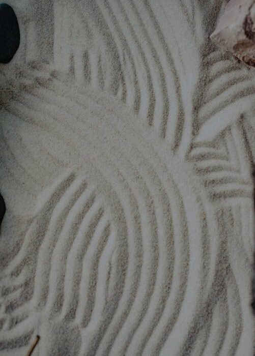 pexels-photo-8180656