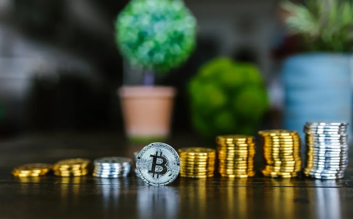 pexels-photo-8370747