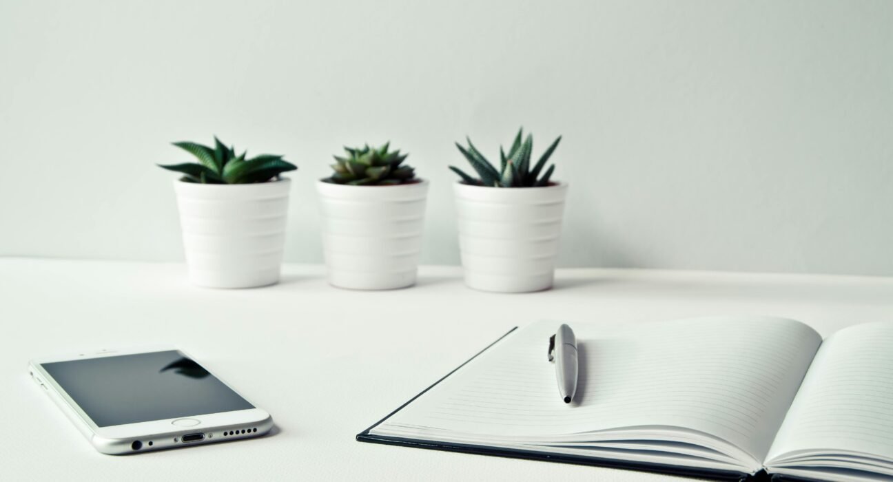 pexels-ylanite-koppens-796602