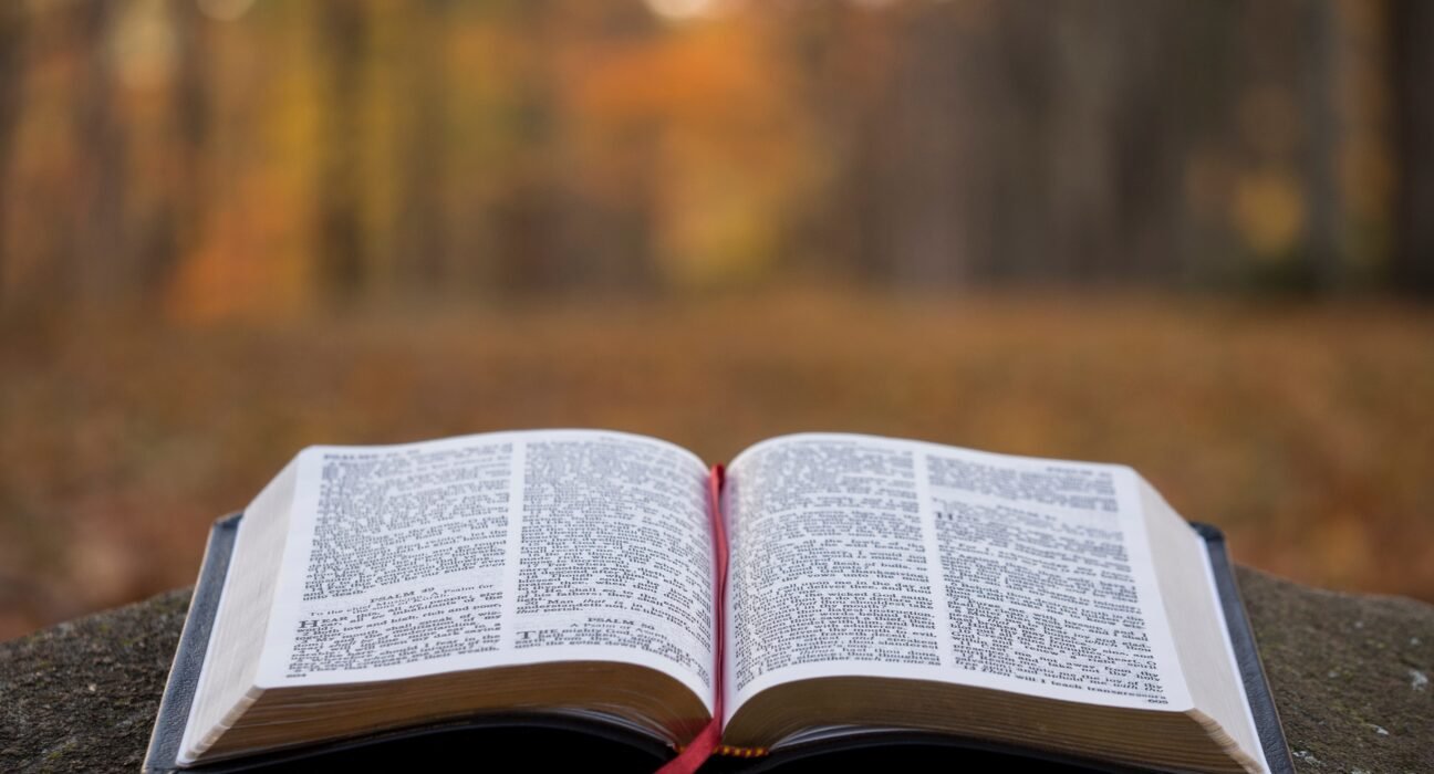 aaron-burden-9zsHNt5OpqE-unsplash