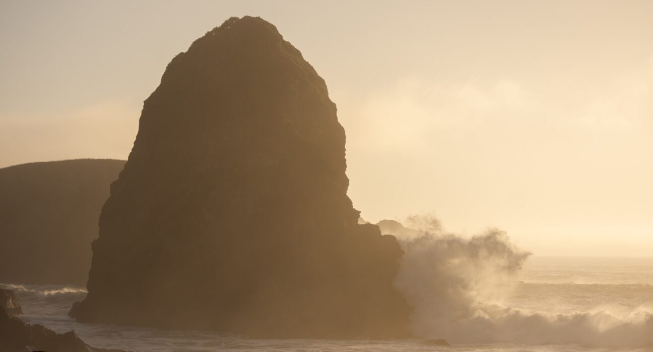 alex-moliski-S-NA91CPvJk-unsplash