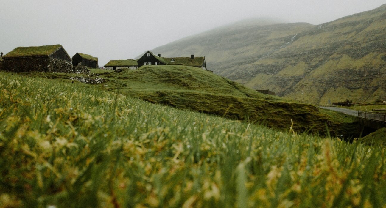 annie-spratt-lPuEul8FqU0-unsplash