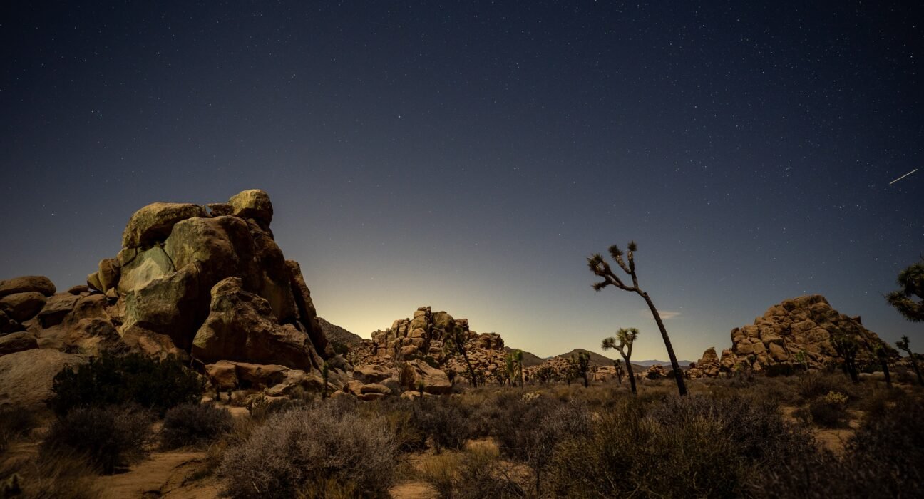 art-litvinau-SWXmhfTtSzM-unsplash