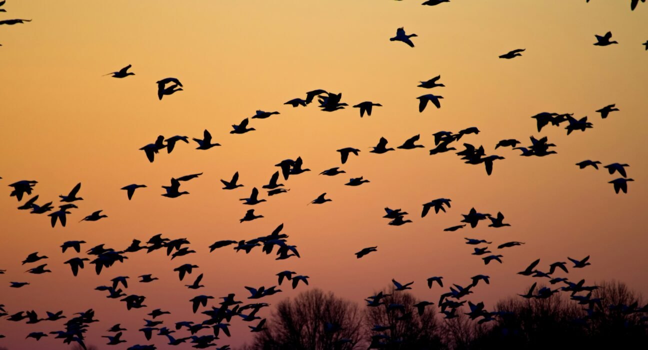 barth-bailey-d2uHXWTkGn4-unsplash