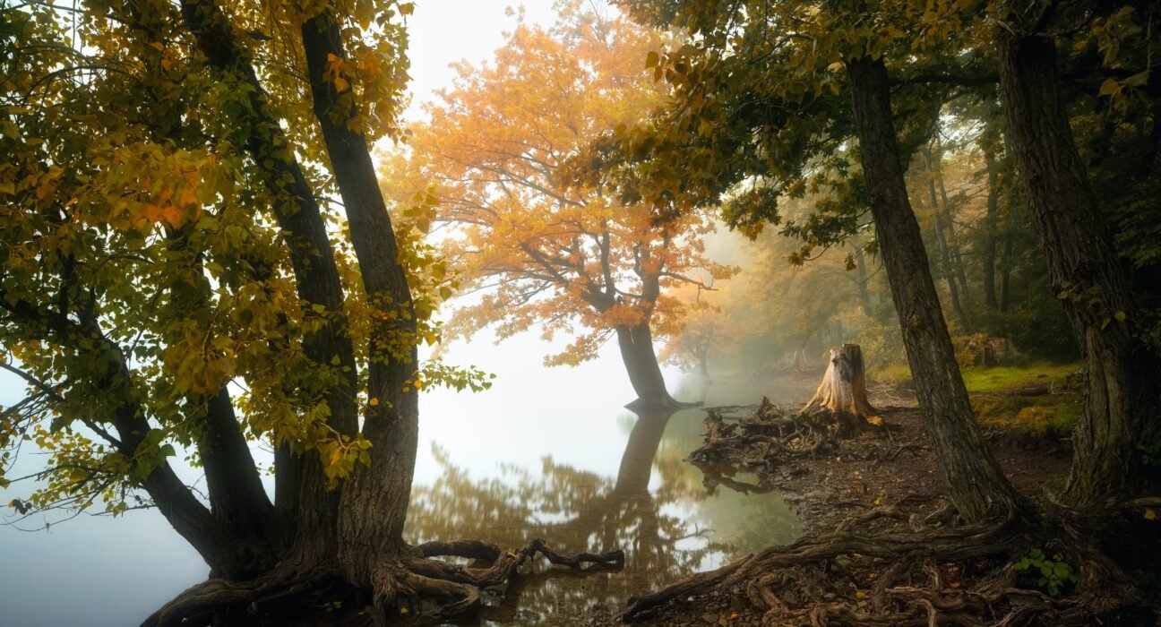 evgeni-tcherkasski-g09oHU2Ad7w-unsplash