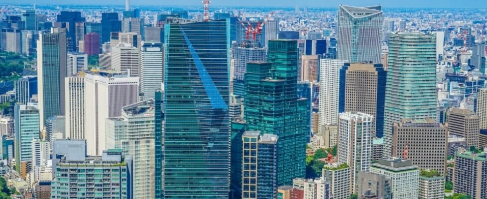 img01.bc0ada8-978x400 (1)