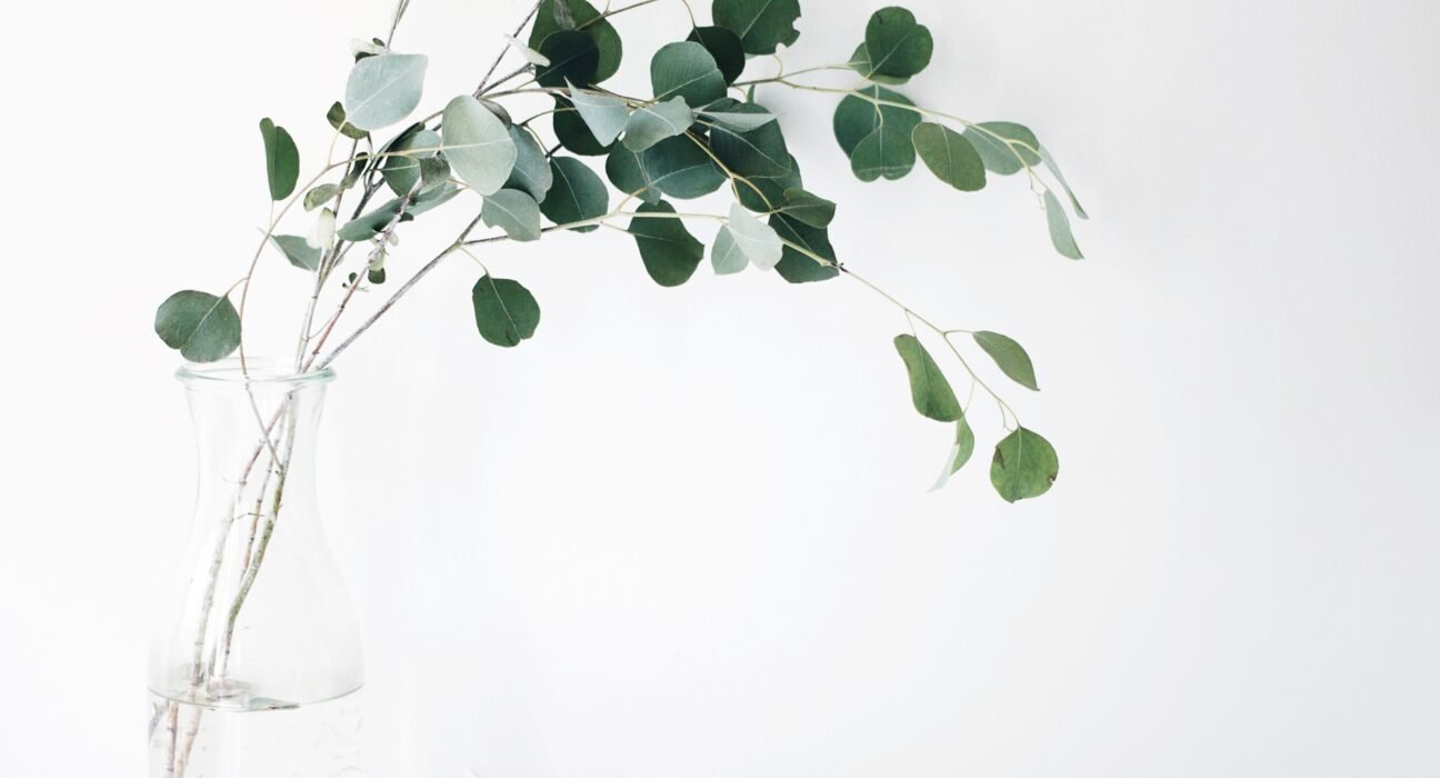 jazmin-quaynor-8ioenvmof-I-unsplash