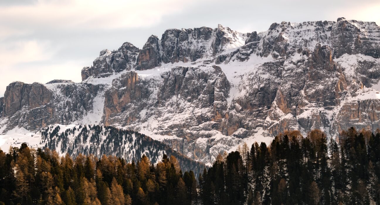 marek-piwnicki-PDCHE--vhsQ-unsplash