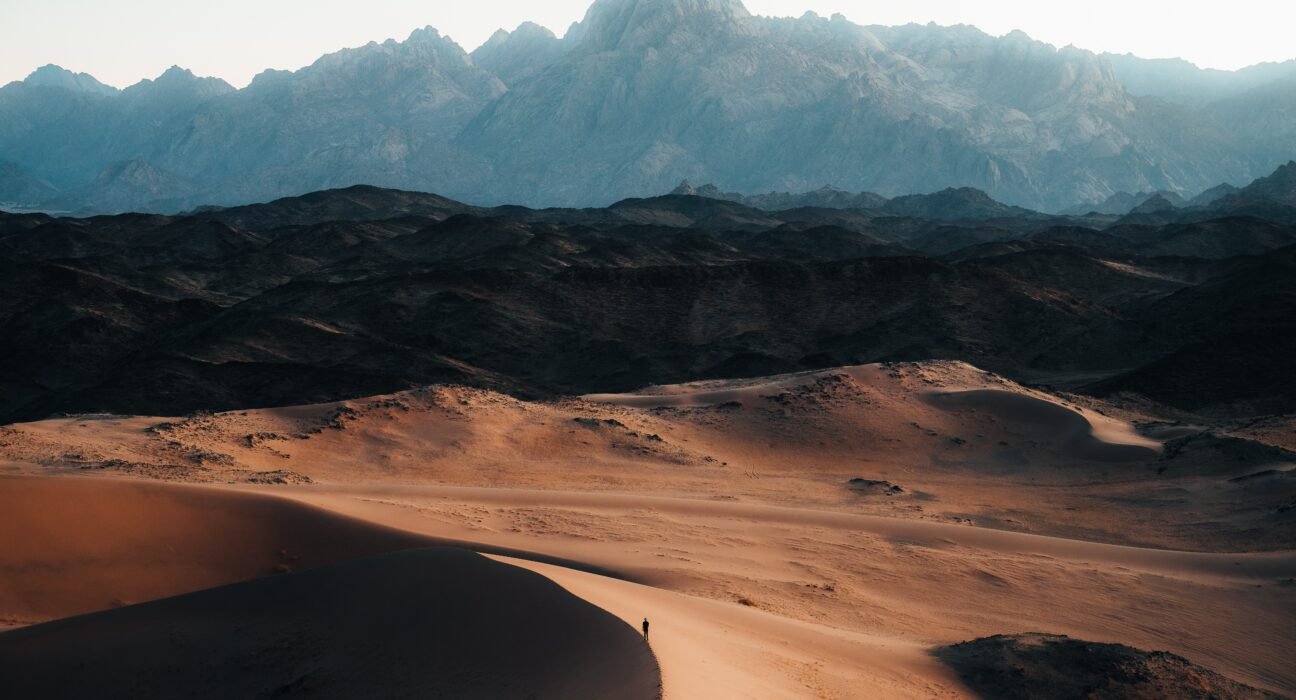 neom-t3dlLOhdEzs-unsplash