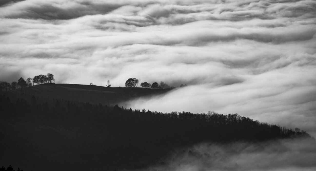 olivier-miche-iIg4F2IWbTM-unsplash