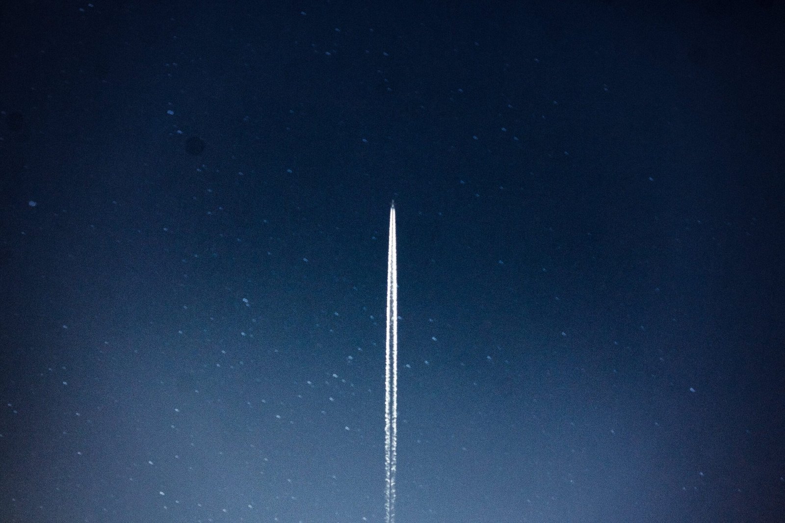 pexels-edvin-richardson-796206