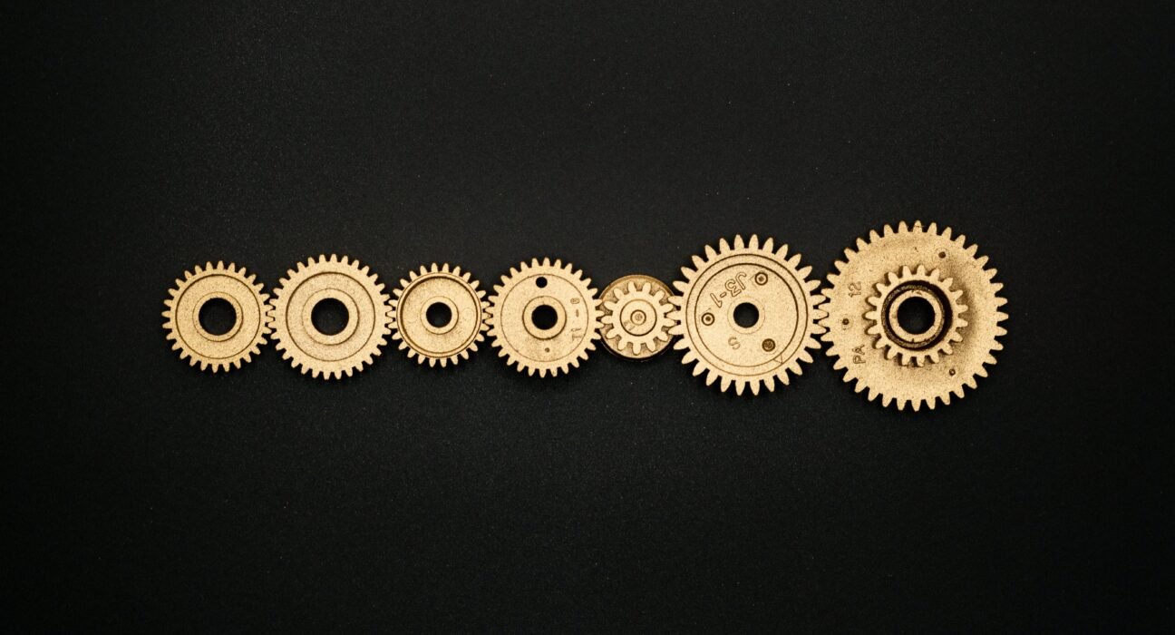 pexels-miguel-á-padriñán-3785927