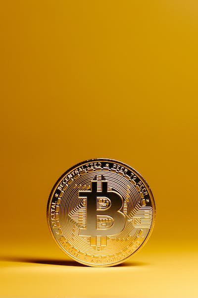 pexels-photo-14891543