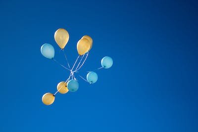 pexels-photo-1590915