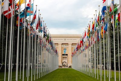 pexels-photo-4468974