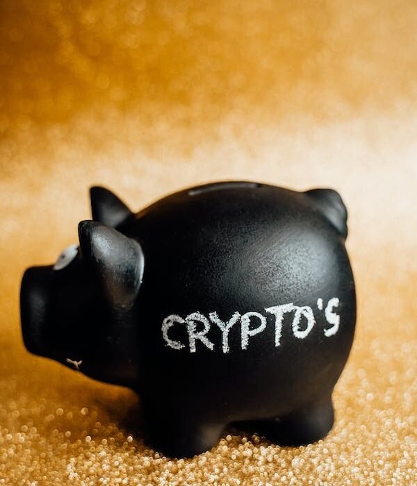 pexels-photo-6781294