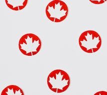 pexels-photo-7069382