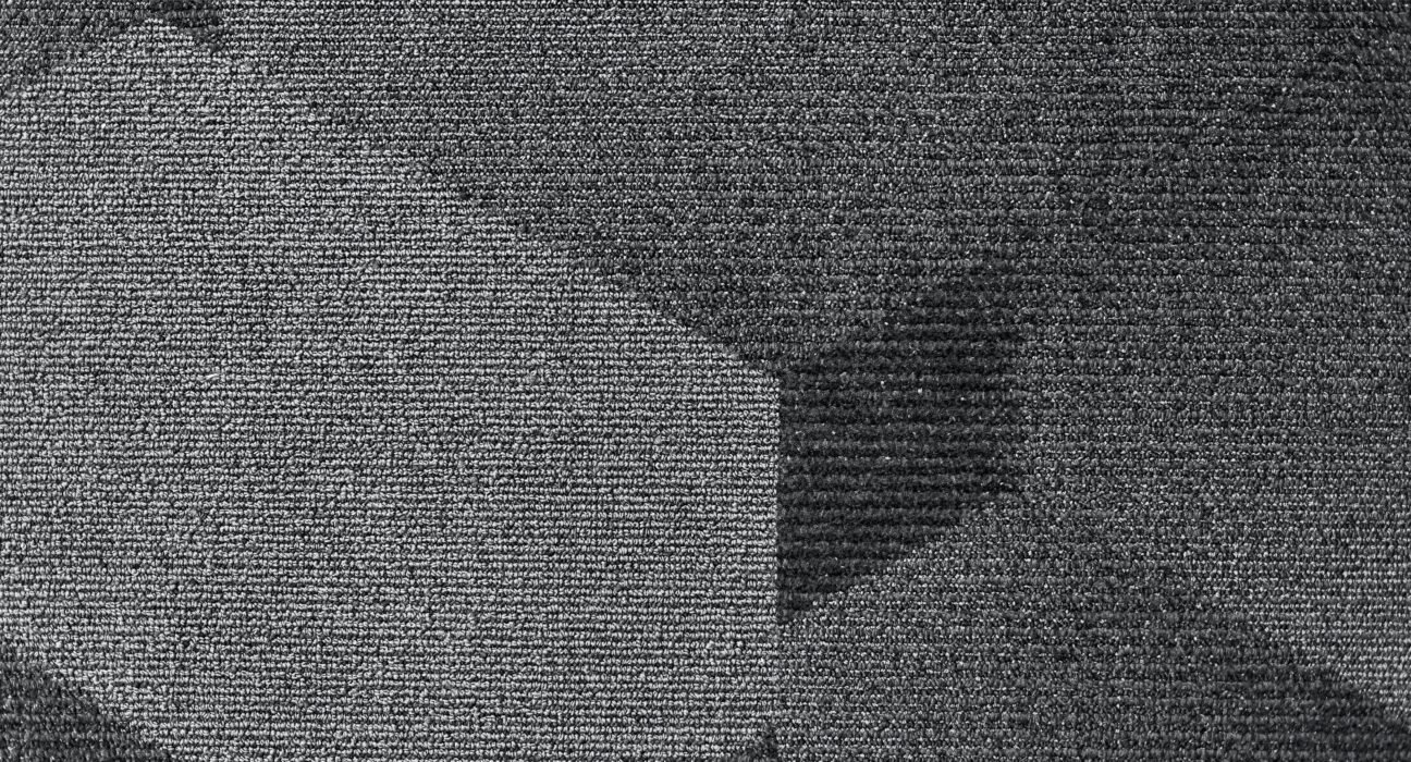 scott-webb-PkJOP7JfVfk-unsplash