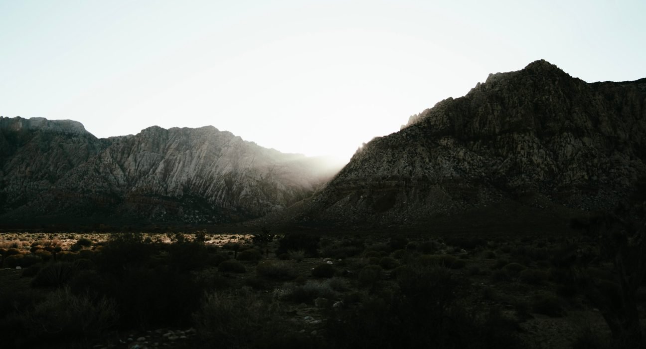 dima-dallacqua-galzkcgy1OY-unsplash