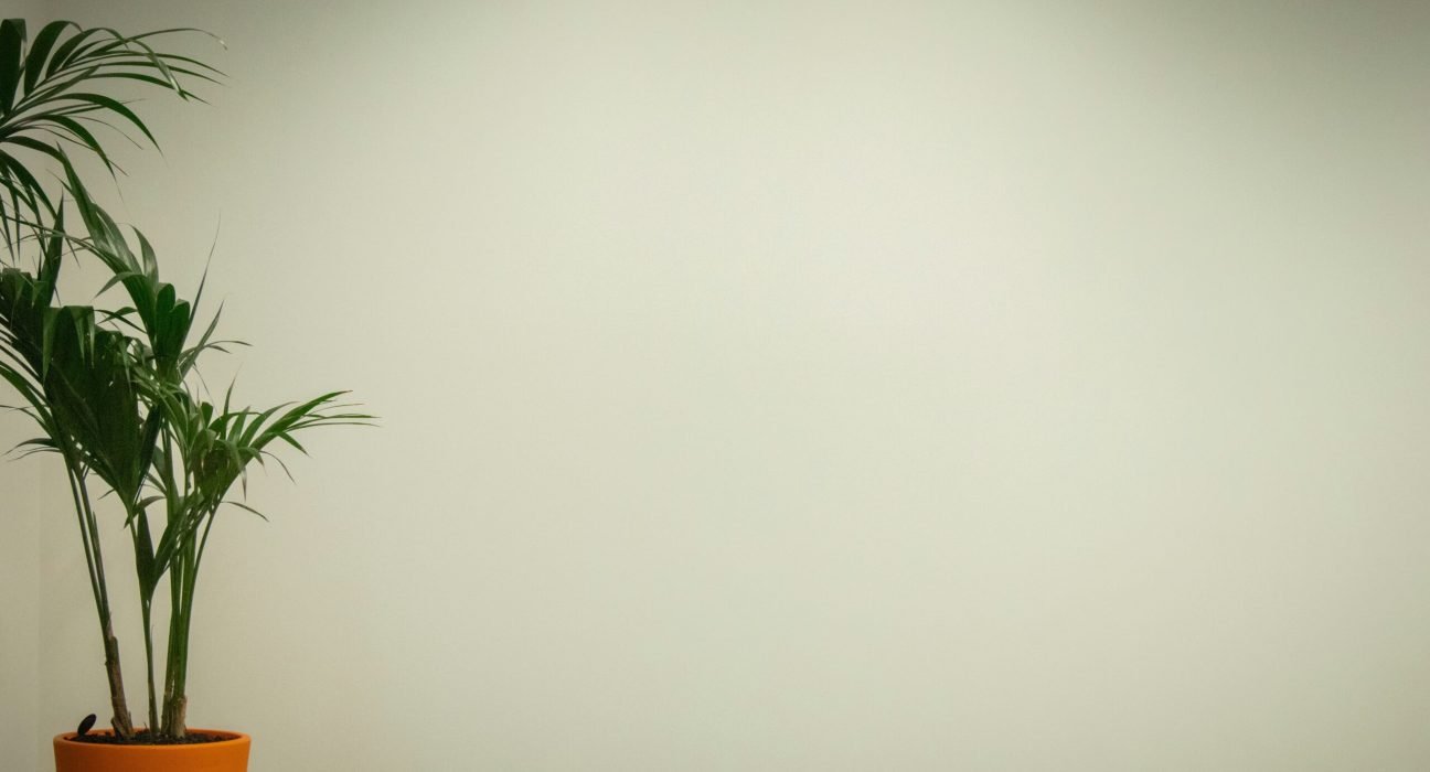 mitchell-luo-xREzOtWzDrQ-unsplash