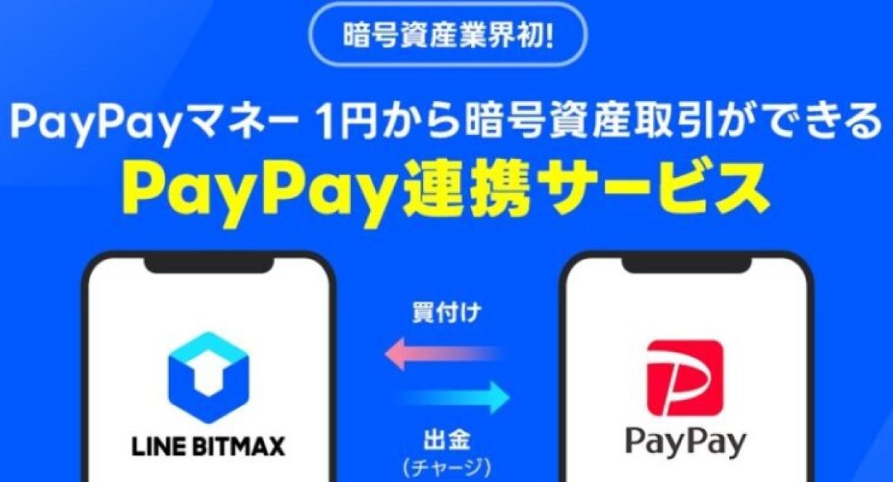 paypayxene-1024x503-978x400