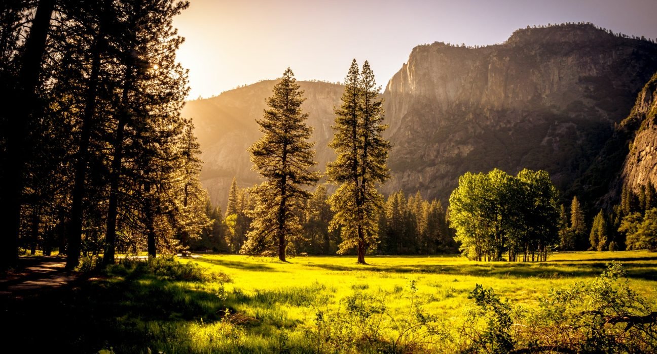 pexels-andré-cook-131723