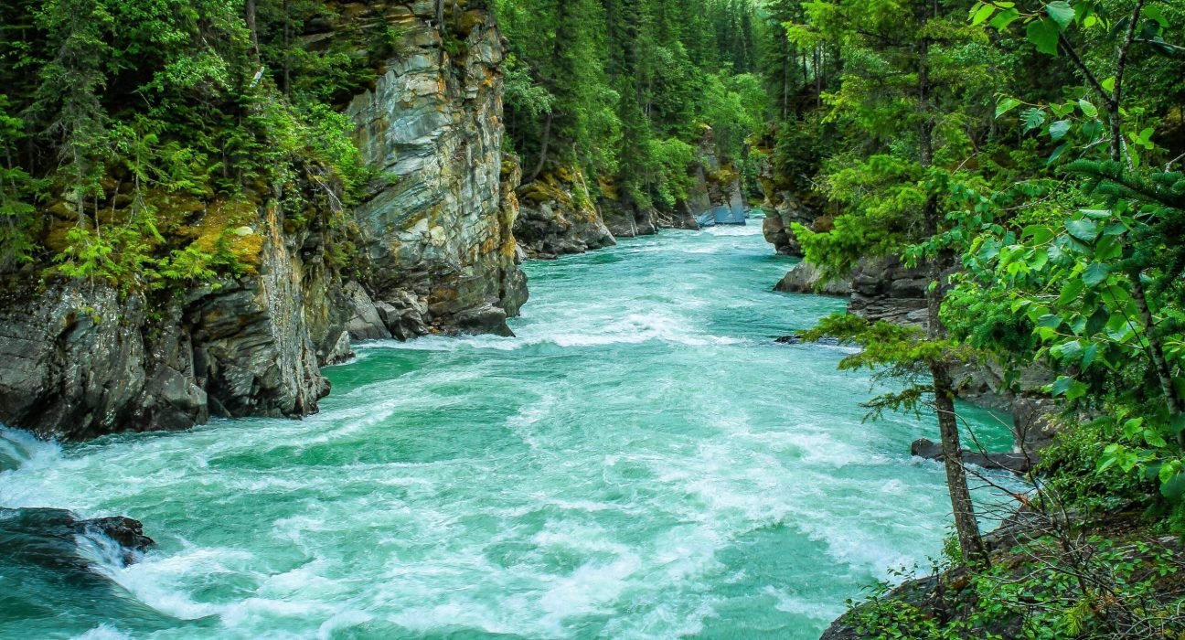 pexels-baskin-creative-studios-1766838