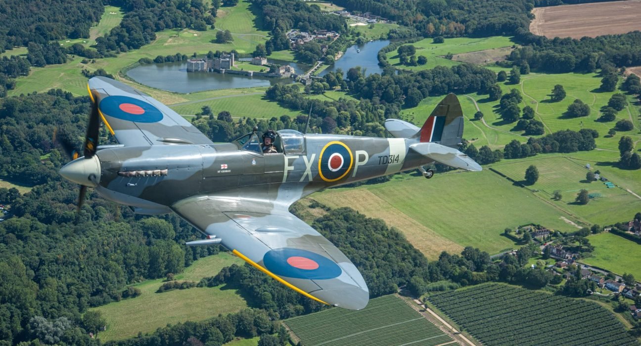 pexels-david-bell-19237497