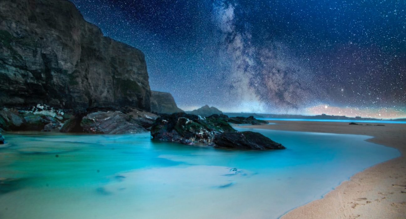 pexels-dominika-roseclay-912469