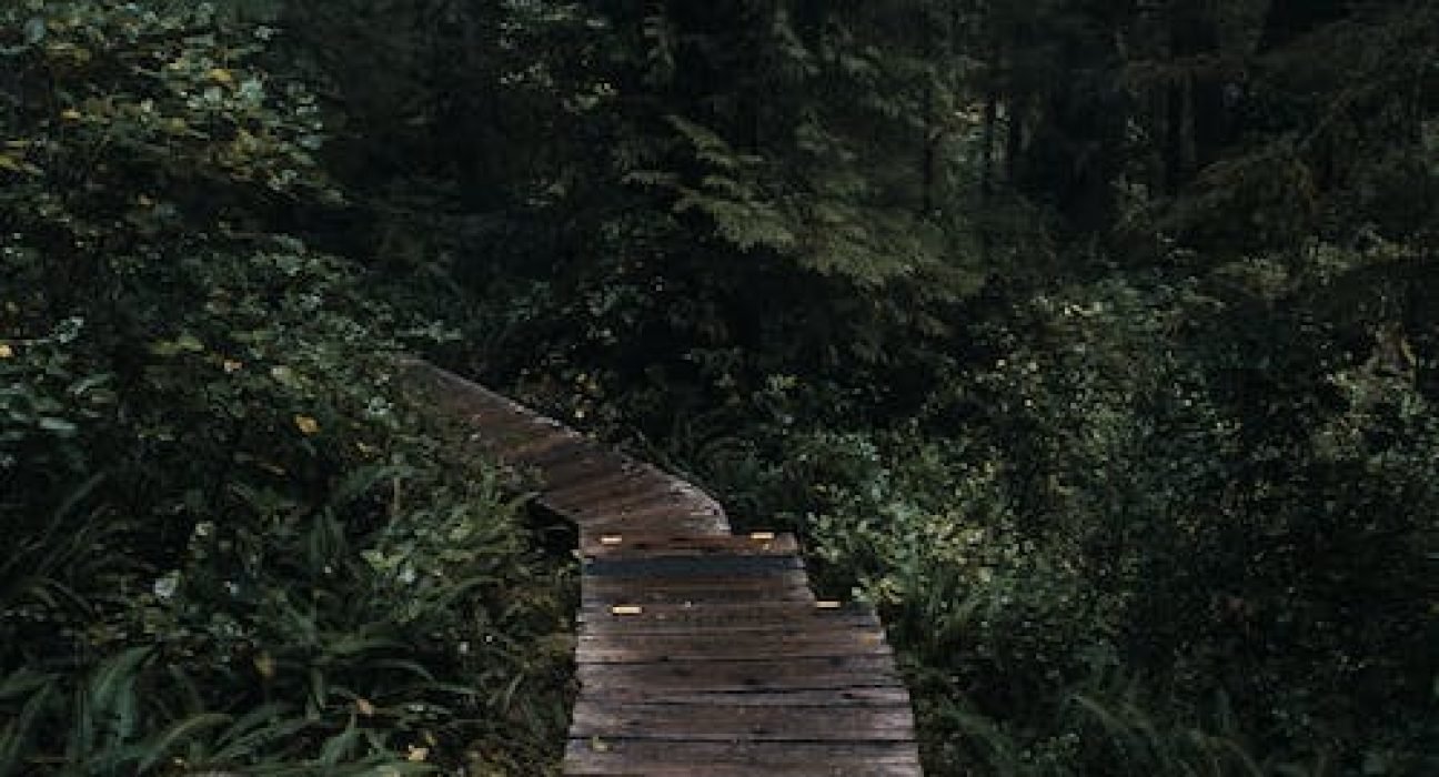 pexels-photo-4992805