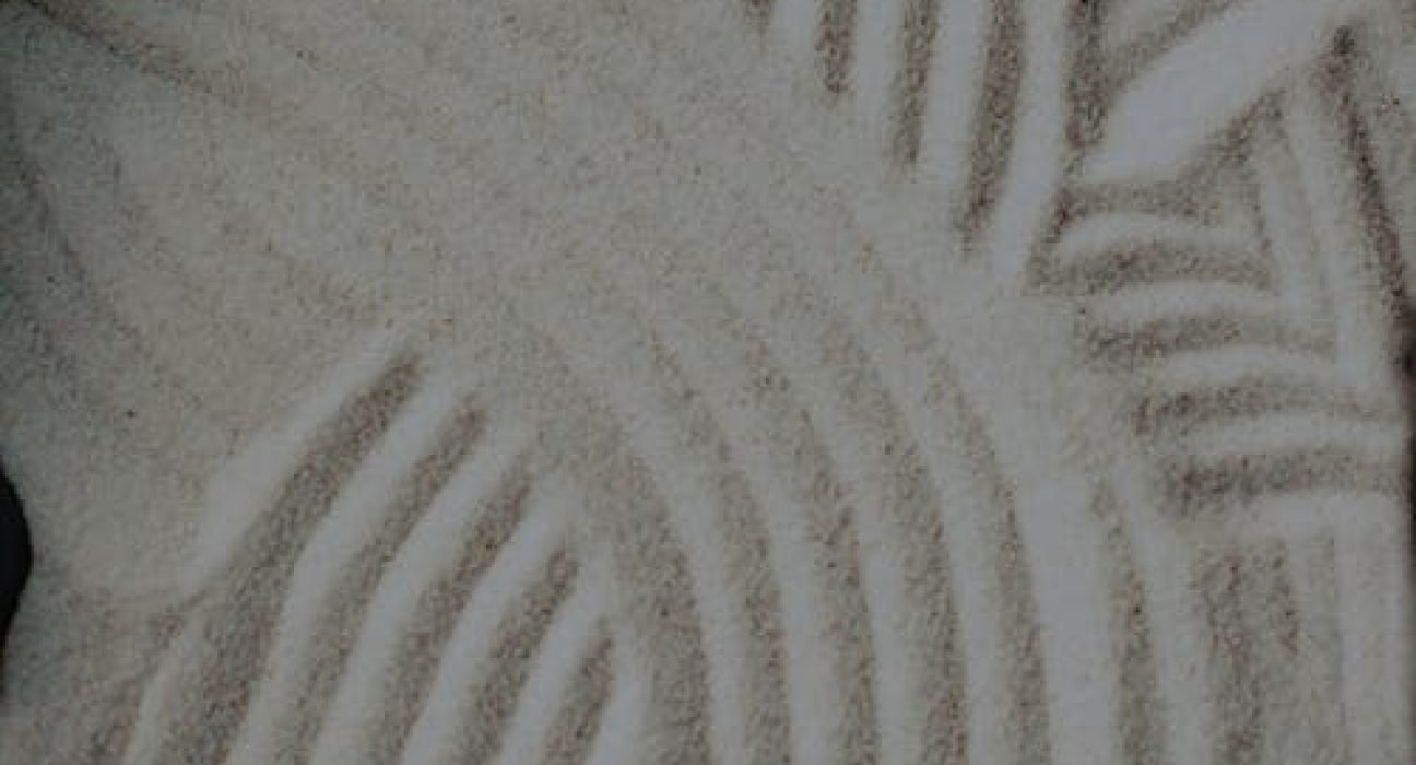 pexels-photo-8180656