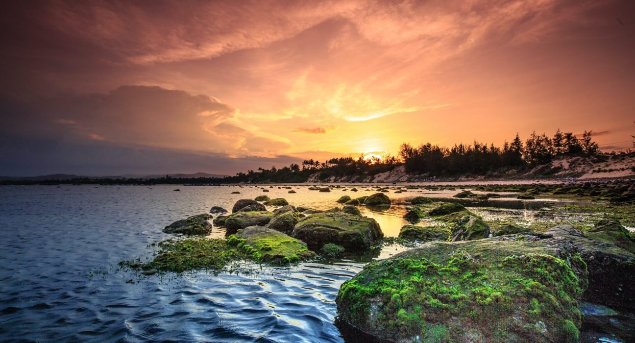 pexels-quang-nguyen-vinh-2145820