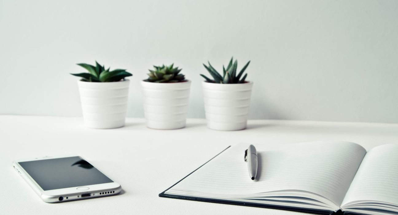 pexels-ylanite-koppens-796602 (1)